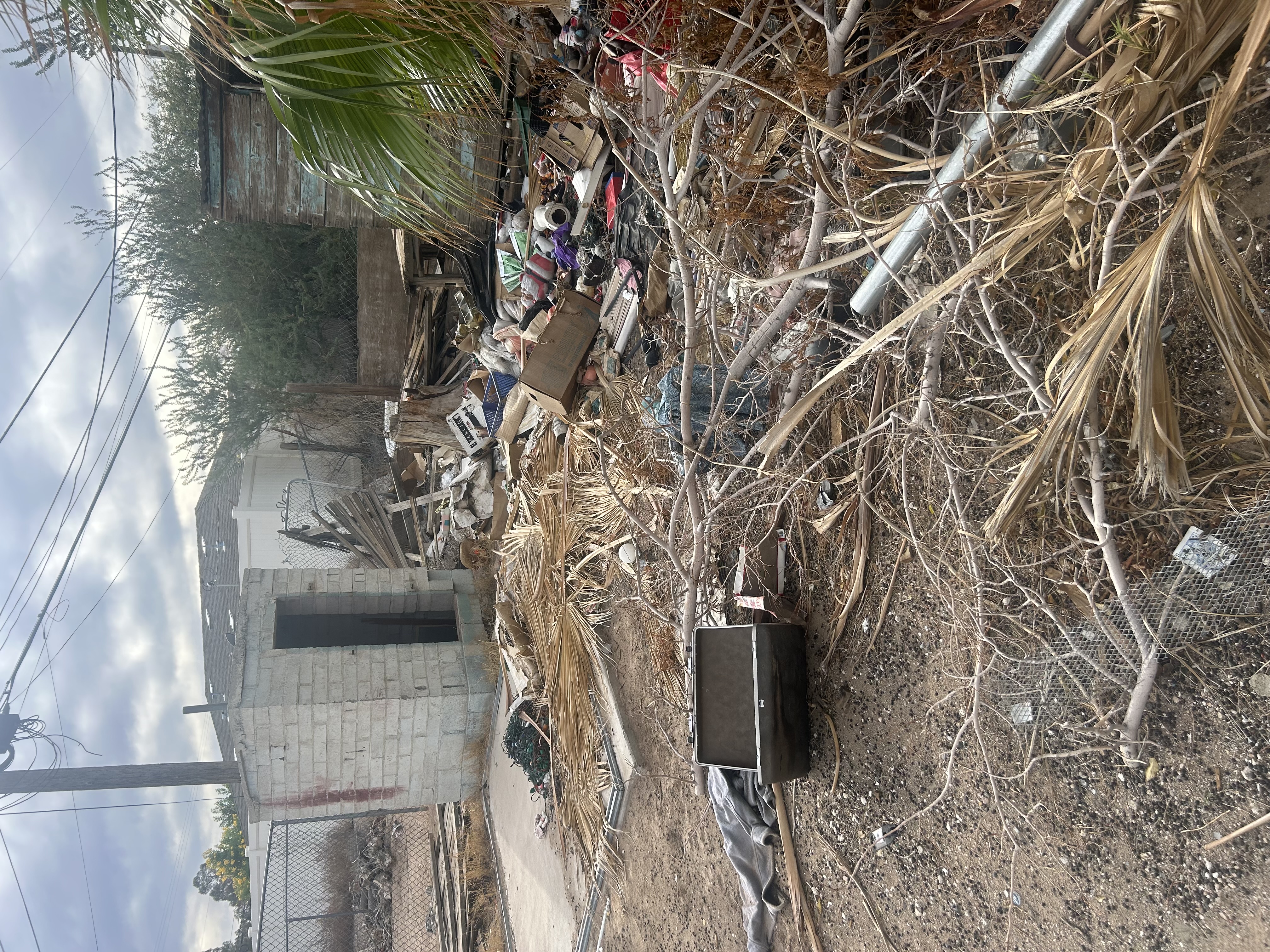 Tackling the Toughest Yard Cleanups - Before